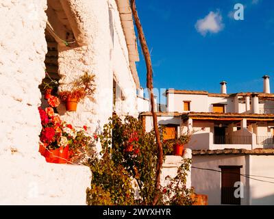 Strada nel pittoresco villaggio di Capileira, las Alpujarras, Granada, Andalucía, Spagna, Europa Foto Stock