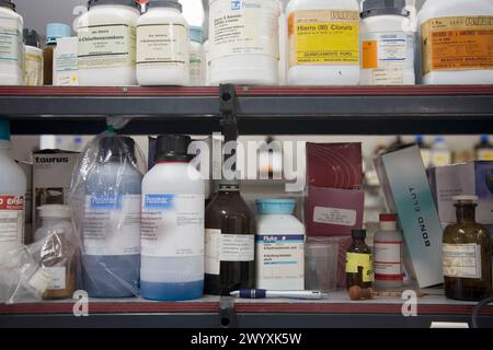 Laboratorio di microbiologia. AZTI-Tecnalia. Centro tecnologico specializzato in ricerca marina e alimentare. Sukarrieta, Bizkaia, Euskadi. Spagna. Foto Stock