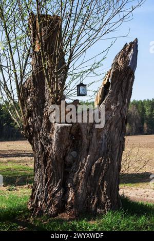 Tronco di un vecchio albero marcio, un salice che piange all'inizio del villaggio, una lampada per i perduti Foto Stock