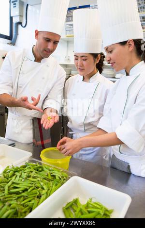 Piselli. Scuola di cucina Luis Irizar. Donostia, Gipuzkoa, Paesi Baschi, Spagna. Foto Stock