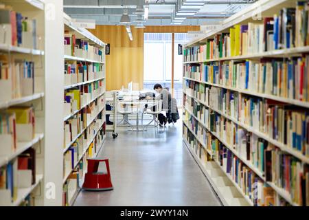 Tavoli di studio, Carlos Santa Maria Center, Gipuzkoa Campus Library, UPV, EHU, Basque Country University, Donostia, San Sebastian, Gipuzkoa, Spagna, Europa. Foto Stock