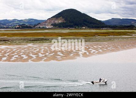 Parco naturale delle paludi di Santoña, Victoria e Joyel, Cantabria, Spagna. Foto Stock