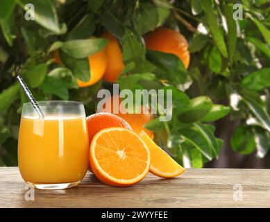 Succo d'arancia fresco su un tavolo di legno nel frutteto. Spazio per il testo Foto Stock