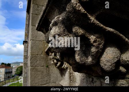 Sculture nella facciata della basilica di Santa Maria a Maior, Pontevedra, Spagna Foto Stock