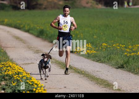Hrase, Slovenia. 8 aprile 2024. Un concorrente e il suo cane gareggiano nella categoria canicross della corsa di mushing Henrik se?nik a Hraše. Oltre cento cani e i loro proprietari provenienti dalla Slovenia e dall'estero hanno partecipato alla decima edizione di questa corsa internazionale di mushing dei cani. (Foto di Luka Dakskobler/SOPA Images/Sipa USA) credito: SIPA USA/Alamy Live News Foto Stock