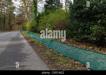 Rete verde lungo la strada forestale che blocca l'uscita di piccoli animali sulla strada. Foto Stock