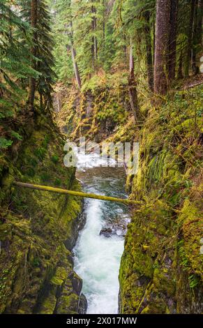 Percorso delle cascate di Sol Duc Falls nell'Olympic National Park, Washington State, USA Foto Stock