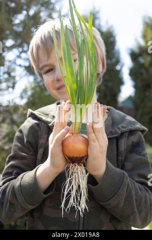 oy tiene in mano cipolle verdi germogliate con grandi radici bianche. Aiuta la mamma a piantare i verdi in giardino. Giornata della Terra. Educazione ambientale. piccola h Foto Stock