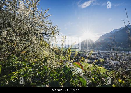 Ausblicke bei der Burg Freundsberg am südlichen Stadtrand von Schwaz in Tirol., circa 170 m über der Talsohle des Inntals im Frühling bei vorsommerlichen Sonnenschein AM 06.04.2024. // Vista dal Castello di Freundsberg alla periferia meridionale di Schwaz in Tirolo, a circa 170 m sopra il fondo della Valle dell'Inn in primavera, sotto il sole pre-estivo il 6 aprile 2024. - 20240406 PD12109 credito: APA-PictureDesk/Alamy Live News Foto Stock