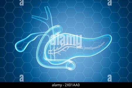 Pancreas umano, modello di organo della cistifellea, rendering 3d. illustrazione 3d. Foto Stock