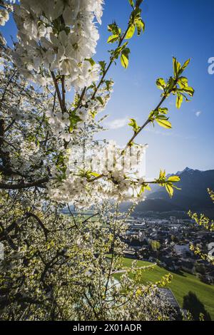Ausblicke bei der Burg Freundsberg am südlichen Stadtrand von Schwaz in Tirol., circa 170 m über der Talsohle des Inntals im Frühling bei vorsommerlichen Sonnenschein AM 06.04.2024. // Vista dal Castello di Freundsberg alla periferia meridionale di Schwaz in Tirolo, a circa 170 m sopra il fondo della Valle dell'Inn in primavera, sotto il sole pre-estivo il 6 aprile 2024. - 20240406 PD12097 credito: APA-PictureDesk/Alamy Live News Foto Stock