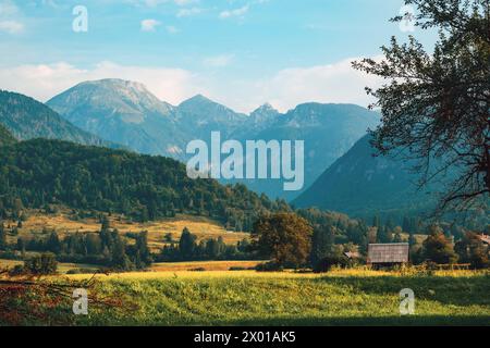 Valle di Bohinj sotto le Alpi Giulie nel parco nazionale del Triglav in Slovenia la mattina d'estate Foto Stock