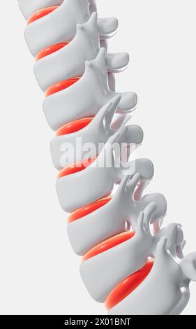 Modello della colonna vertebrale umana, specifica per il modello di vertebre umane, rendering 3d. illustrazione 3d. Foto Stock