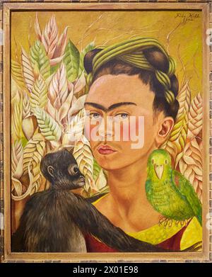 "Autorretrato con chango y loro". Frida Kahlo. Museo de Arte Latinoamericano di Buenos Aires. MALBA. Fundación Costantini. Buenos Aires. Argentina Foto Stock