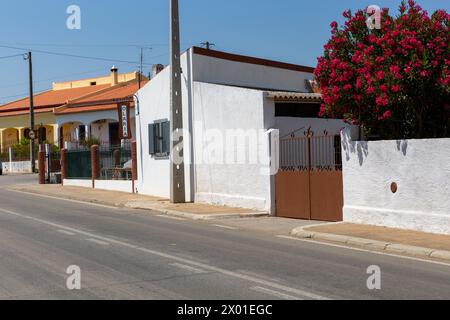 Negozio di ceramiche a Evora Foto Stock