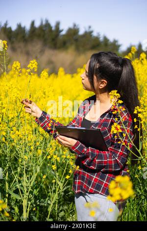 Agro tecnico donna che lavora in un napus Brassica fiorito per controllare i parassiti e le malattie delle colture Foto Stock