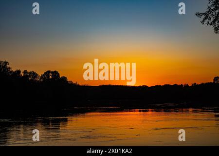 Grande fiume Don nel mezzo. Il tramonto arancione si riflette nell'acqua. Silhouette nera della foresta costiera. Ci sono molti trichopteri che volano sopra S. Foto Stock