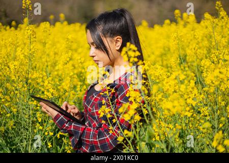 Agro tecnico donna che lavora in un napus Brassica fiorito per controllare i parassiti e le malattie delle colture Foto Stock