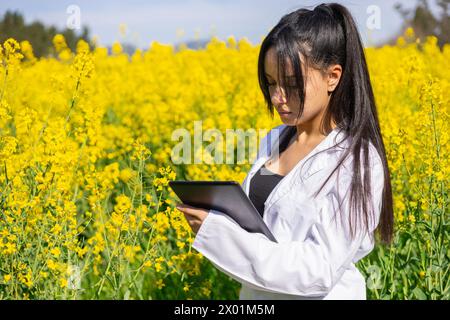 Agro tecnico donna che lavora in un napus Brassica fiorito per controllare i parassiti e le malattie delle colture Foto Stock