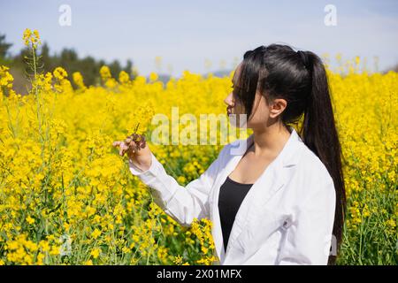 Agro tecnico donna che lavora in un napus Brassica fiorito per controllare i parassiti e le malattie delle colture Foto Stock