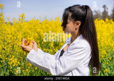 Agro tecnico donna che lavora in un napus Brassica fiorito per controllare i parassiti e le malattie delle colture Foto Stock