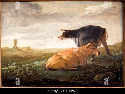 "Pâturage avec deux vaches", Aelbert Cuyp, 1620-1691, Petit Palais Musée des Beaux Arts de la Ville de Paris, Francia, Europa Foto Stock