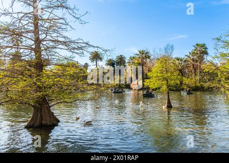 Bötchen fahren im Park la Ciutadella Parc de la Ciutadella in der Altstadt von Barcelona, spagnolo Barcellona Katalonien Spanien *** gite in barca a la ci Foto Stock