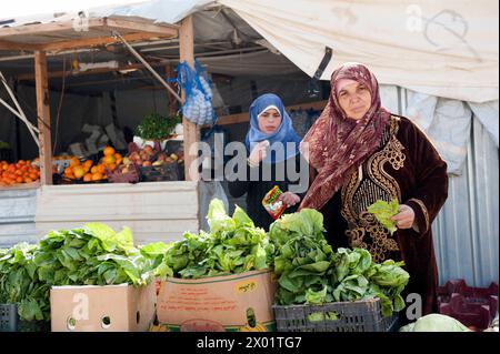 Frutta e verdura poco dopo l'arrivo al campo profughi al ZA atari, questa madre resiliente e imprenditoriale e sua figlia aprirono un mercato di frutta e verdura fresca agli Champs Elisee all'interno del campo. Fornisce un reddito familiare. Al ZA atari, al Mafraq, Giordania. Al ZA atari al ZA atari, al Zaatari, Zaatari al Mafraq Jordaanie Copyright: XGuidoxKoppesxPhotox Foto Stock