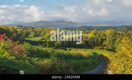 Vista panoramica autunnale sulla campagna aperta con le colline del Brecon Beacon National Park in lontananza. Trefecca Powys, Galles, Regno Unito Foto Stock