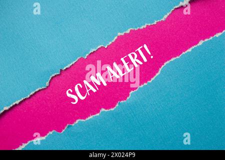 Parole di avviso truffa scritte su carta blu strappata con sfondo rosa. Simbolo concettuale. Copia spazio. Foto Stock