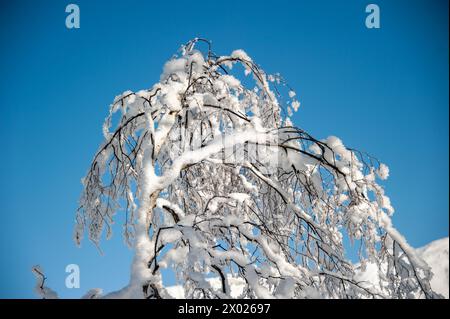 Le meraviglie costruite dalla natura che possiamo incontrare in una soleggiata giornata invernale Foto Stock