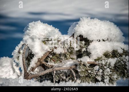 Le meraviglie costruite dalla natura che possiamo incontrare in una soleggiata giornata invernale Foto Stock