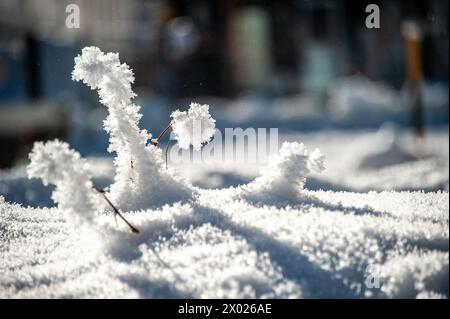 Le meraviglie costruite dalla natura che possiamo incontrare in una soleggiata giornata invernale Foto Stock