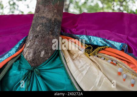 In un mazar, o santuario islamico, un albero cresce attraverso rivestimenti di tessuto sopra la tomba del santo. Foto Stock