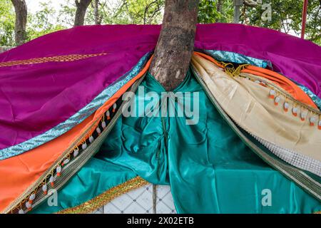 In un mazar, o santuario islamico, un albero cresce attraverso rivestimenti di tessuto sopra la tomba del santo. Foto Stock