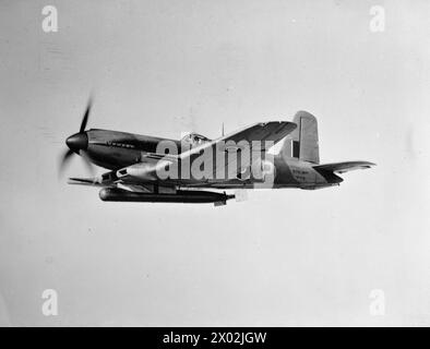 LA ROYAL NAVY DURANTE LA SECONDA GUERRA MONDIALE - aerei della Fleet Air Arm: Il prototipo di caccia a siluro navale a due posti Blackburn Firebrand, alimentato da un motore Napier Sabre III in volo con un siluro sotto Foto Stock