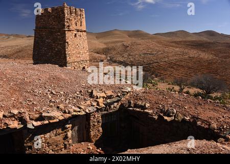 Granaio berbero, Agadir Tashelhit, sotto forma di una fortezza, Anti-Atlas montagne, Marocco, Africa Settentrionale, Africa Foto Stock