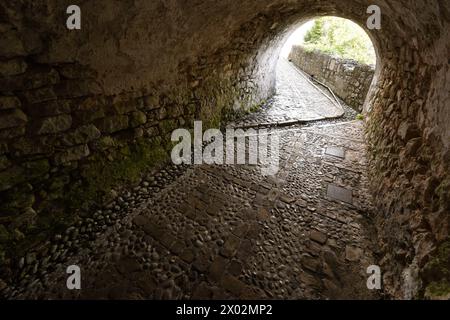 La Fortezza nuova, una fortezza veneziana sulla collina di San Marco nella città di Corfù, Corfù, isole greche, Grecia, Europa Foto Stock
