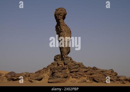 Finger of Allah formazione rocciosa nei monti Akakus, Libia, Nord Africa, Africa Foto Stock