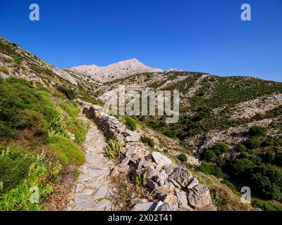 Sentiero per il Monte ZAS o Zeus, isola di Naxos, Cicladi, isole greche, Grecia, Europa Foto Stock