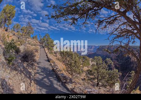 Il sentiero asfaltato lungo le scogliere del Grand Canyon South Rim tra il villaggio e Trailview si affaccia su Vista, Grand Canyon Foto Stock