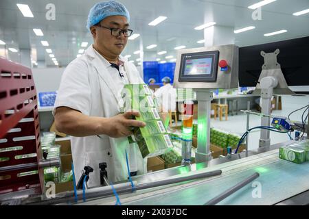 (240409) -- CHANGSHA, 9 aprile 2024 (Xinhua) -- Un uomo lavora presso Hunan Warrant Chiral Pharmaceutical Co., Ltd, nella città di Liuyang, nella provincia di Hunan della Cina centrale, 9 aprile 2024. Negli ultimi anni, la città di Liuyang, nella provincia di Hunan, ha ampliato e rafforzato costantemente il suo settore manifatturiero avanzato, promuovendo lo sviluppo di fascia alta, intelligente ed ecologico del settore. La città ha incoraggiato e guidato attivamente le piccole e medie imprese ad accelerare le loro innovazioni nelle tecnologie chiave e a migliorare la loro competitività di base, promuovendo in tal modo econ di alta qualità Foto Stock
