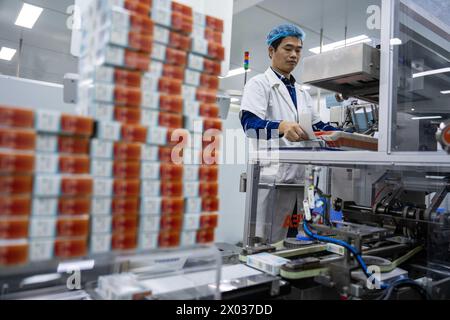 (240409) -- CHANGSHA, 9 aprile 2024 (Xinhua) -- Un lavoratore confeziona medicinali presso Hunan Warrant Chiral Pharmaceutical Co., Ltd, nella città di Liuyang, provincia di Hunan, nella Cina centrale, 9 aprile 2024. Negli ultimi anni, la città di Liuyang, nella provincia di Hunan, ha ampliato e rafforzato costantemente il suo settore manifatturiero avanzato, promuovendo lo sviluppo di fascia alta, intelligente ed ecologico del settore. La città ha incoraggiato e guidato attivamente le piccole e medie imprese ad accelerare le loro scoperte nelle tecnologie chiave e a migliorare la loro competitività di base, promuovendo così alti livelli Foto Stock