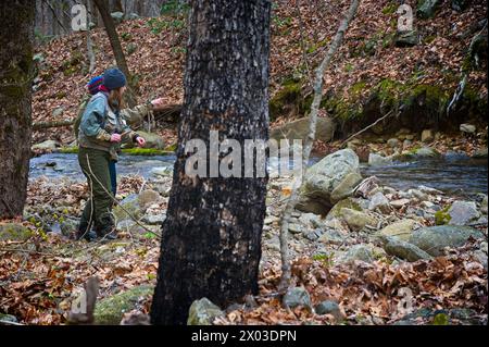 Stati Uniti: 04/04/2024; pesca con la mosca sul North Creek vicino a Buchanan Virginia. Foto Stock