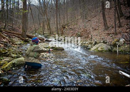 Stati Uniti: 04/04/2024; pesca con la mosca sul North Creek vicino a Buchanan Virginia. Foto Stock