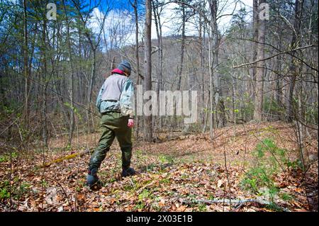 Stati Uniti: 04/04/2024; pesca con la mosca sul North Creek vicino a Buchanan Virginia. Foto Stock