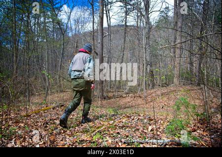 Stati Uniti: 04/04/2024; pesca con la mosca sul North Creek vicino a Buchanan Virginia. Foto Stock