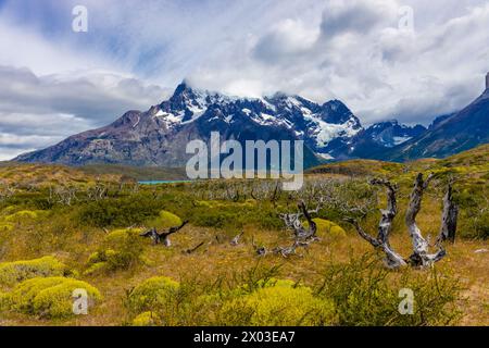 Torres del Paine Cordillera massiv in Patagonia, Cile. Montagne delle Ande bellissimo paesaggio in una giornata di sole con nuvole. Trekking in Patagonia cilena Foto Stock