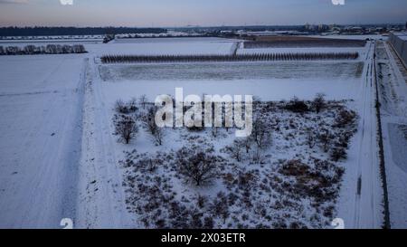 Paesaggio invernale innevato con campi e alberi intorno a Weiterstadt catturati con un drone in una serata invernale Foto Stock