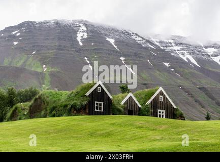 Case di terra in Islanda con grandi montagne nebbiose sullo sfondo Foto Stock